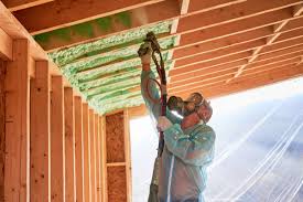 Best Eco-Friendly or Green Insulation Solutions  in Wewahitchka, FL